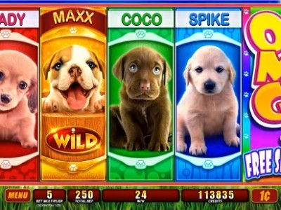 New Proposal Argues For Casino, Aquarium In Downtown Slot Machine